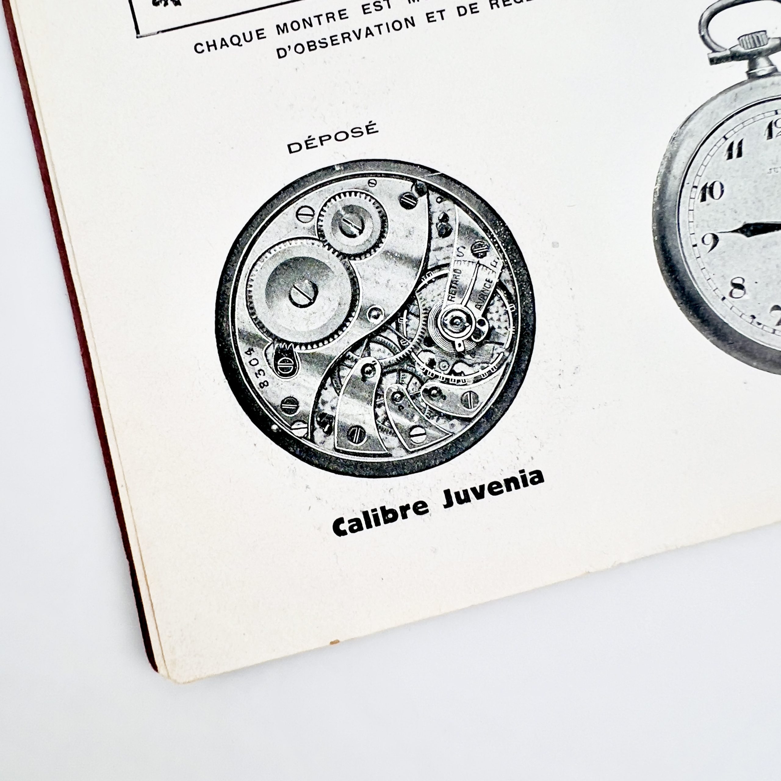 JUVENIA CATALOG No. 15, ca. 1930 – Image 11